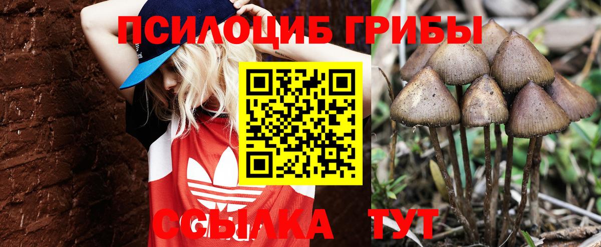 Галлюциногенные грибы Psilocybine cubensis  Галлюциногенные грибы Psilocybine cubensis  Вход с VPN  Беслан 